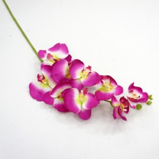 Ветка орхидеи.РО-4