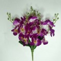 Орхидеи (14)