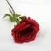 Одиночная роза.Арт.XYH2020-1К(48шт)