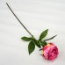 Пионовидная роза.Арт.XYH2020-1М(48шт)