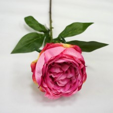 Пионовидная роза.Арт.XYH2020-1М(48шт)