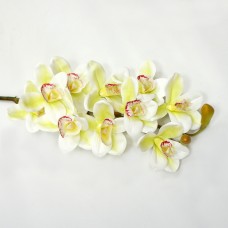 Орхидея цибидиум.Арт.MJZ159-A24шт)