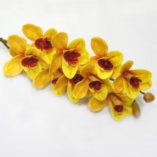 Орхидея цибидиум.Арт.ДМ-015(24шт)