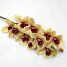 Орхидея цибидиум.Арт.ДМ-016(24микс)