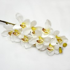 Орхидея цибидиум.Арт.ДМ-018(24шт)
