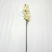 Орхидея цибидиум.Арт.ДМ-018(24шт)
